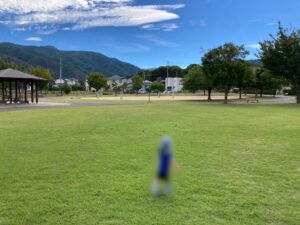 惣社公園全体の写真