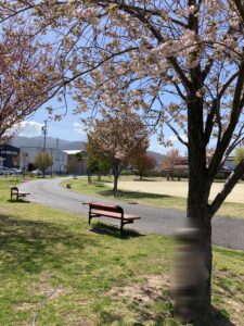 惣社公園ベンチ